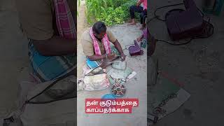 அம்மியில் கொத்து போடுதல் villagelife dailyvlogdailymanlifedayworkworkerssafetylabourday [upl. by Asp134]