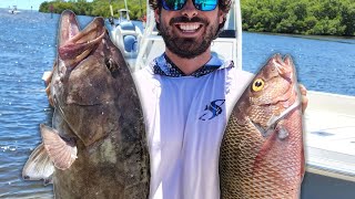 Grouper amp Snapper Fishing Inside Tampa Bay [upl. by Aynav]