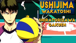 The Spike Ushijima Wakatoshi Shiratorizawa Gakuen Best Spiker Volleyball 3x3 [upl. by Alver]