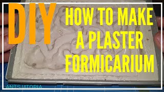 💡DIY👍 HOW TO MAKE A PLASTER FORMICARIUM [upl. by Joliet]