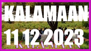 KALAMAAN 11 DECEMBER 2023 [upl. by Corenda]