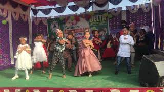 Junta lagyo tarale DES Annual function 2075 [upl. by Nylhtiak232]