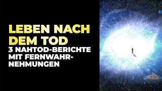 Leben nach dem Tod – Indizien  3 Nahtoderfahrungen mit FernWahrnehmungen [upl. by Bamford391]