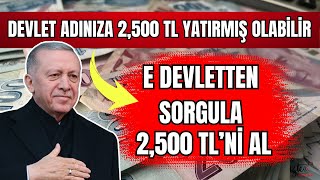 2500 TL ADINIZA TC NİZE DEVLET PARA YATIRMIŞ OLABİLİR BANA CIKMAZ DEME E DEVLETTEN SORGULA [upl. by Kesley]