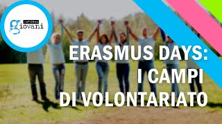 Erasmus Days Volontariato allEstero  La testimonianza di Lisa [upl. by Lupita110]