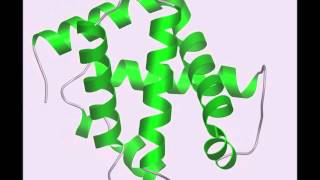 Protein secondary structure [upl. by Naillimxam]