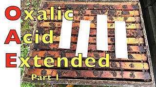 Extended Release Oxalic Acid Field Trials [upl. by Aniri650]