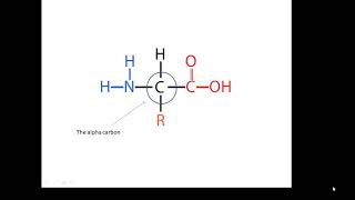 BTEC Applied Science Unit 3 Enzymes 1 [upl. by Octavla]