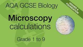 Microscopy Calculations For AQA 91 GCSE Biology and Trilogy Combined Science [upl. by Nerad292]