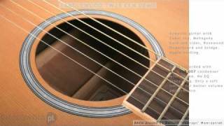 TANGLEWOOD TW28 CLN acoustic guitar  Demo Soundcheck [upl. by Bundy]