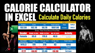 Calorie Calculator in Excel 2024  Creating Your Personalised Calorie Calculator in Excel [upl. by Blockus881]