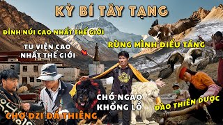 TÂY TẠNG THẬT SỰ THẦN BÍ  Chỉ Ở Đây Mới Có THIÊN CHÂU THIÊN DƯỢC ĐIỂU TÁNG NGAO YAK [upl. by Leyes214]