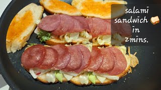 SALAMI SANDWICH Quick amp Tasty [upl. by Llemar39]