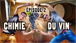 🍷 Chimie du vin  Episode 2 [upl. by Ossy502]