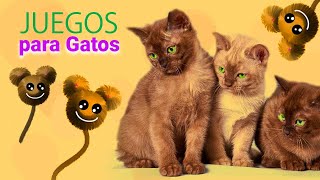 Juegos Para Gatos 🐱 COMO RATONES CHISTOSOS SE BURLAN AL HACER SONIDOS DE MAULLIDOS  Videos Gato TV [upl. by Akinirt]