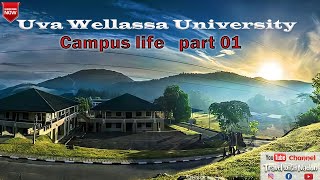 මීදුමෙන් වැසුණු ඌව වෙල්ලස්ස ජීවිතය  Uva Wellassa University [upl. by Rodrich]