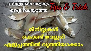 How to clean velooriWhite Sardine Fishവേളുരി എളുപ്പത്തിൽ വൃത്തിയാക്കാം [upl. by Lohcin873]