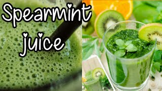 How To Make Spearmint juice  Spearmint Summer refreshing juice [upl. by Suzzy]