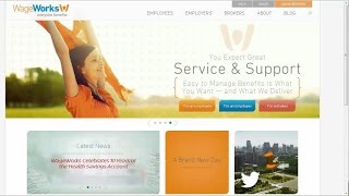 WageWorks Account Overview [upl. by Oznarol]