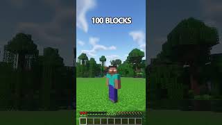 I Fell Down The Blocks in Minecraft  Wait For It 😱 もういいよ minecraft shorts [upl. by Coopersmith]