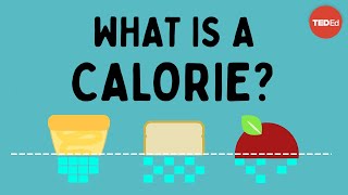 What is a calorie  Emma Bryce [upl. by Rosner]