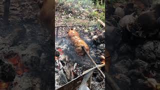 ROASTED PIG litson baboy pig [upl. by Eiznekcm23]