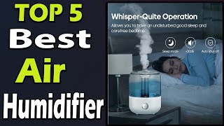 TOP 5 Best Air Humidifier Review 2025 [upl. by Haldis552]