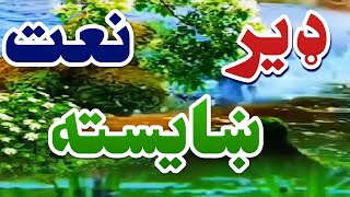 پشتو نوي جالب نعت 2024 زړه ته سکون ورکونکي نعت [upl. by Annoit435]