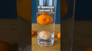 DIY Mandarinen Experiment funforkids kindergarten experiment diy kidscrafts science forkids [upl. by Nidak]