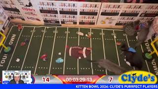 Kitten Bowl 2024 Clydes Purrrect Players vs Cellino Furballers [upl. by Anuahsal289]