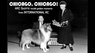 Legends Historical images of the International Kennel Club of Chicago dog show from the AKC Gazette [upl. by Ameg]