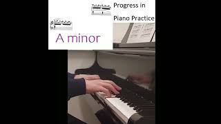 Chopin Winter Wind Etude Op 25 No 11 Short 8 [upl. by Alolomo]