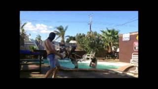 Whyalla Harlem Shake [upl. by Nehtanhoj]