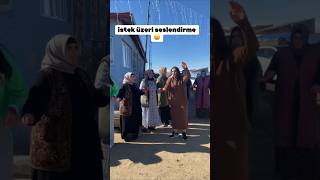 Pinar Durdî  Kaynana Şarkısı shorts shortvideo youtubeshorts [upl. by Eico621]