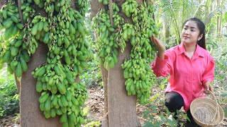 Collect some bilimbi fruit for cooking  Yummy bilimbi fruit cooking  Cooking with Sreypov [upl. by Akemyt]