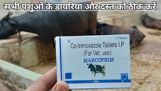 Use vetenary MARCOPRIM  Cotrimoxazole Tablets IP पशुओं को MARCOPRIM tablets कब देते हैं [upl. by Hayidan911]