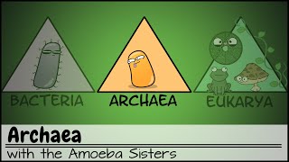 Archaea [upl. by Ylim983]