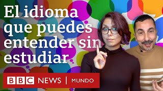 Interlingua el idioma que millones pueden entender sin haberlo estudiado  BBC Mundo [upl. by Shreeves]