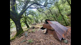 Abandoned Gold Mine Overloaded With Quartz amp Crystals [upl. by Loralee]