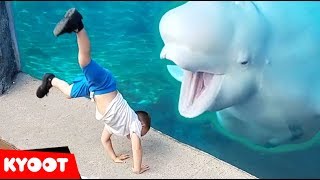 Beluga Whale is AMAZED by Tricks  Funny Aquarium Videos [upl. by Medora]