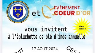 Évènement du 17 août 2024 à Sherbrooke organisé par le mouvement de pavoisement populaire [upl. by Nylqcaj]