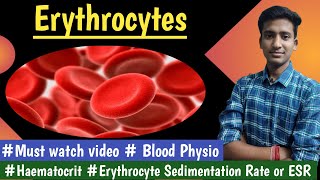 Erythrocytes Hematocrit ESR Blood PhysiologyLectures  in hindi Ashish Agrawal [upl. by Fleck768]