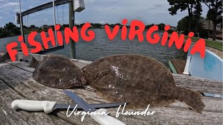 SLAYING FLOUNDER Fishing Virginia [upl. by Tsenrae]