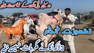 mandra mandi 2024 latest update ll mandra mandi live update ll part 1 ll jamil tv ll [upl. by Haydon747]