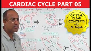 Cardiac Cycle  Systole amp Diastole  Dr Najeeb Part 58 [upl. by Akeemaj]