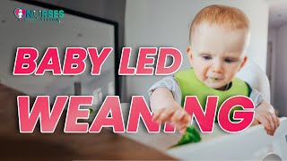 Baby Led Weaning [upl. by Watts306]