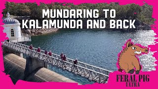 Feral Pig Ultra Info  Mundaring to Kalamunda and Back [upl. by Neltiac]