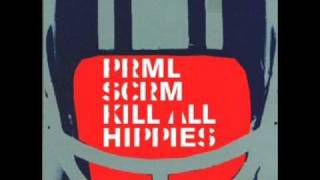 Primal Scream  Kill All Hippies Two Lone Swordsmen Remix 2 [upl. by Nurse935]