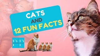 STORY OF CATS amp 12 FUN FACTS [upl. by Nahshu]