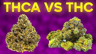 THCa vs THC What’s the Difference and Why It Matters [upl. by Nylidnarb]